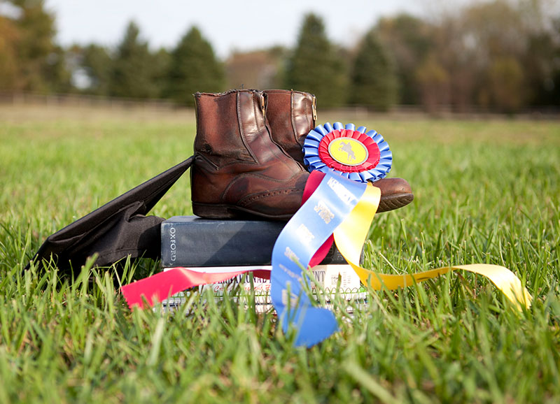Horse Show Tutor - Private Tutoring Services for Equestrians